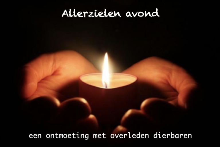 Ontmoeting met overleden dierbaren